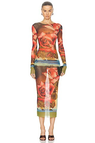 Roses Mesh Long Sleeve Dress | FWRD 