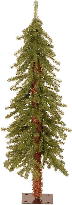 National Tree Company 4 ft Unlit Hickory Cedar Mini Artificial Christmas Tree, 225 Tips, Metal Pl... | Amazon (US)