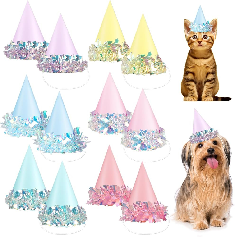 24 Pcs Iridescent Foil Pastel Mini Party Hats for Dog Cat Birthday Party Supplies Pastel Rainbow ... | Amazon (US)