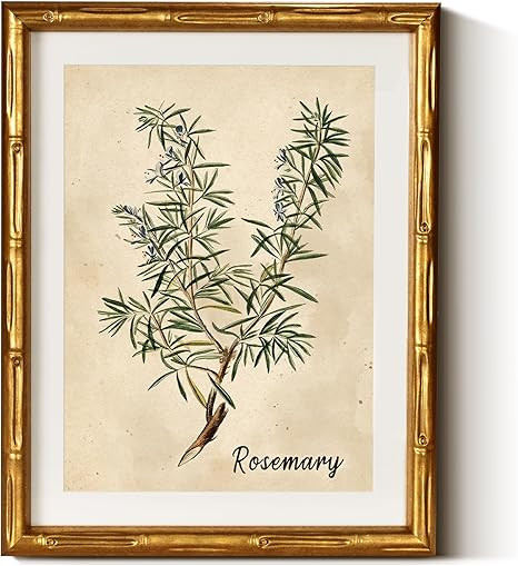 InSimSea Gold Bamboo Framed Canvas Wall Art, Retro Herbs Rosemary Botanical Paintings, Antique Vi... | Amazon (US)