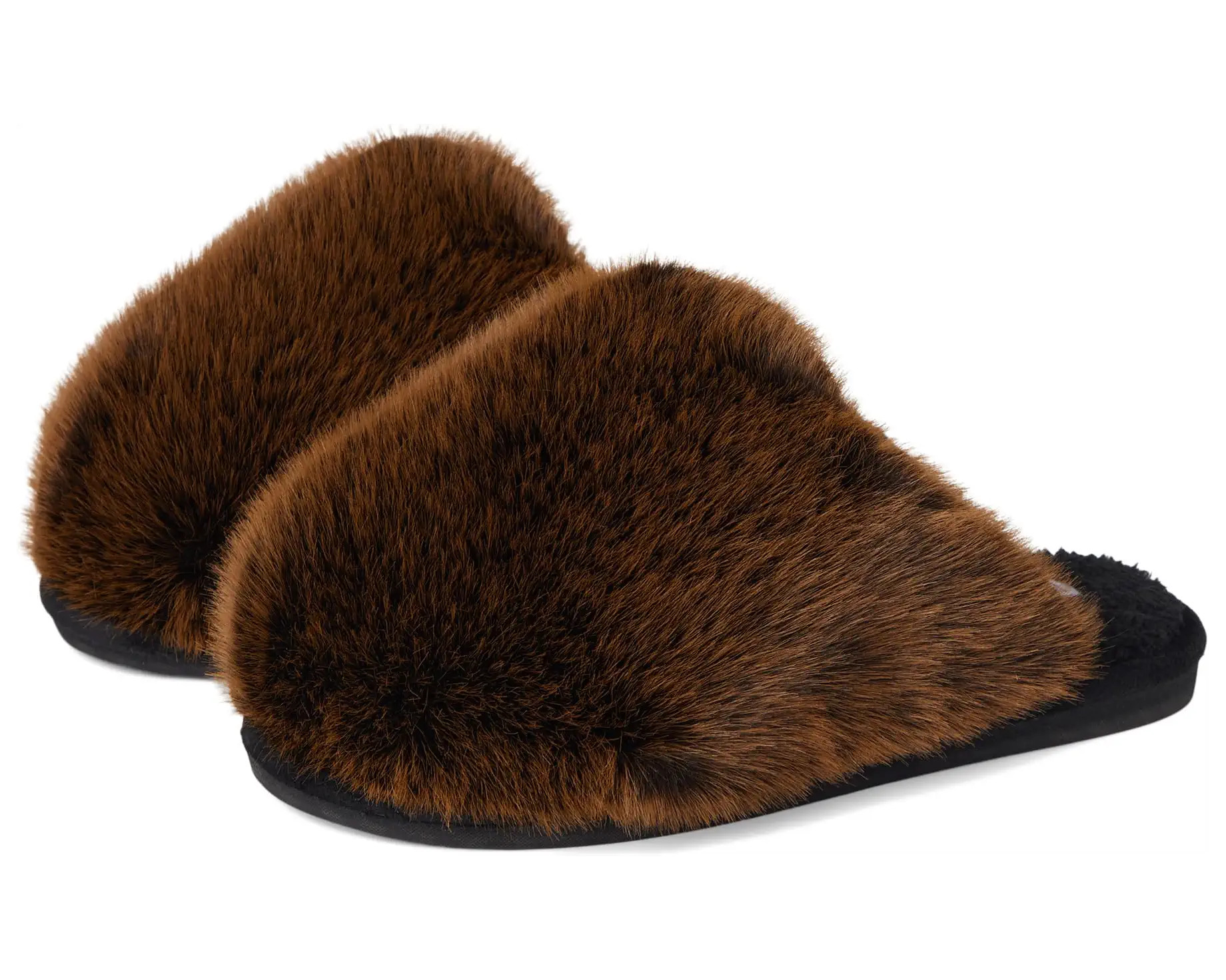 Women's Steve Madden Poof | Zappos