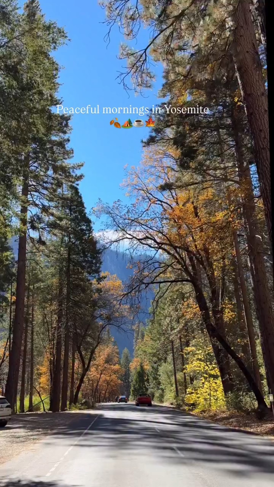 Peaceful mornings in Yosemite 🍂🏕️☕️ wearing Vuori brown workout set Nike Free Metcon 6 Rose Gold 

What to wear to Yosemite 

#LTKActive #LTKfitnessgoals #LTKTravel