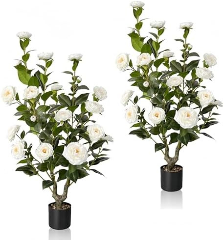 Brand: Ahxuvan | Amazon (US)