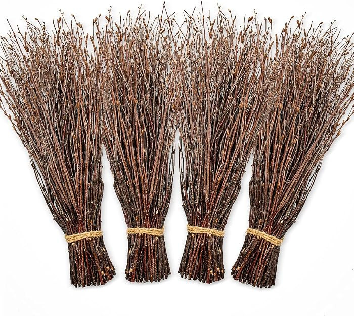 200pcs Birch Twigs 100% Natural Birch Branches for Decorating, DIY Crafts, Flower Arrangement \u2... | Amazon (US)
