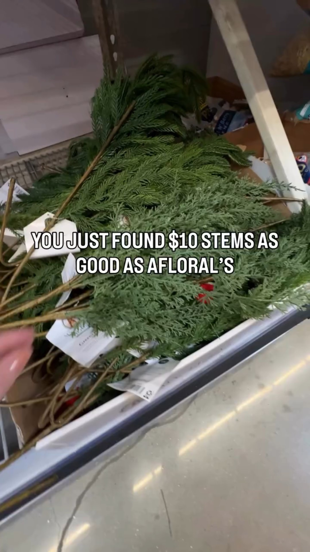 Christmas decor but make it budget friendly!! 💸

Comment ‘STEMS’ to shop these real touch Norfolk Pine stems that are less than $10 🙌🏼

@walmart #walmartpartner #walmarthome #christmasdecorideas