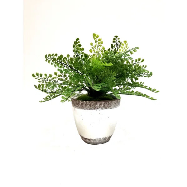 16'' Faux Fern Plant in Ceramic Pot | Wayfair North America