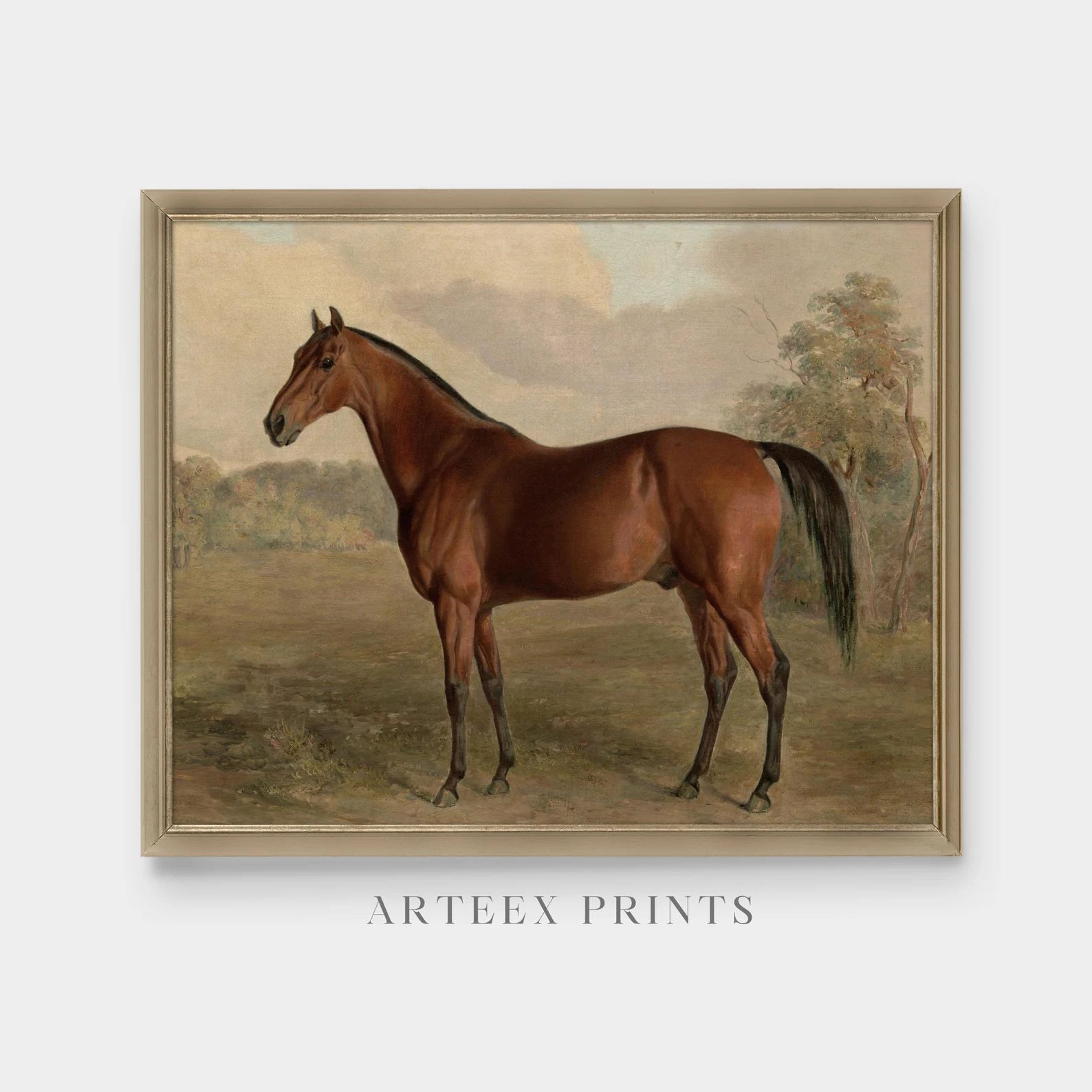 Vintage Horse Painting Antique Equestrian Print Digital Download Printable Wall Art Farmhouse Dec... | Etsy (CAD)