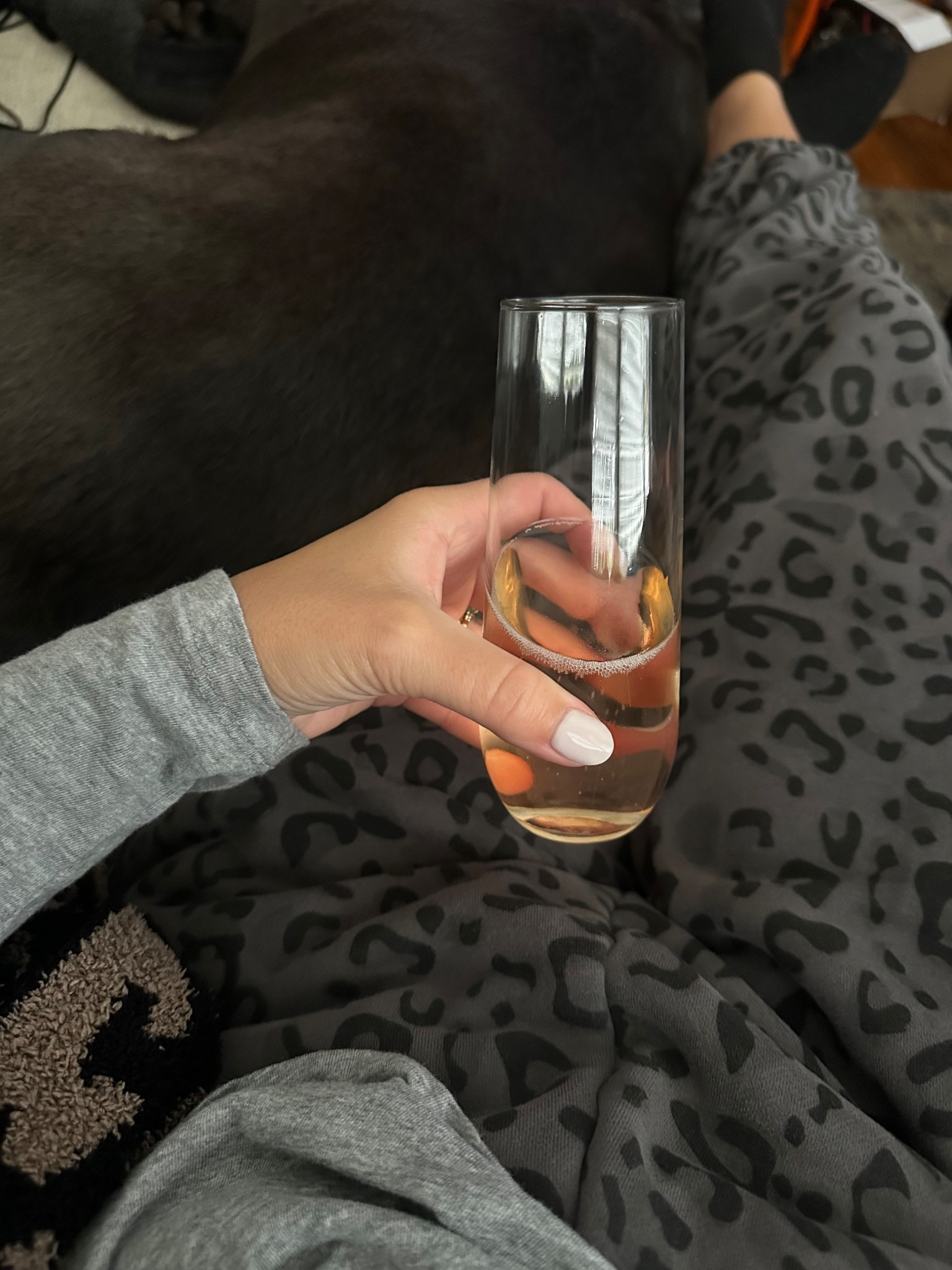 NFL Football Sundays are back #sundayfunday #champagne

#LTKWedding #LTKParties #LTKHome