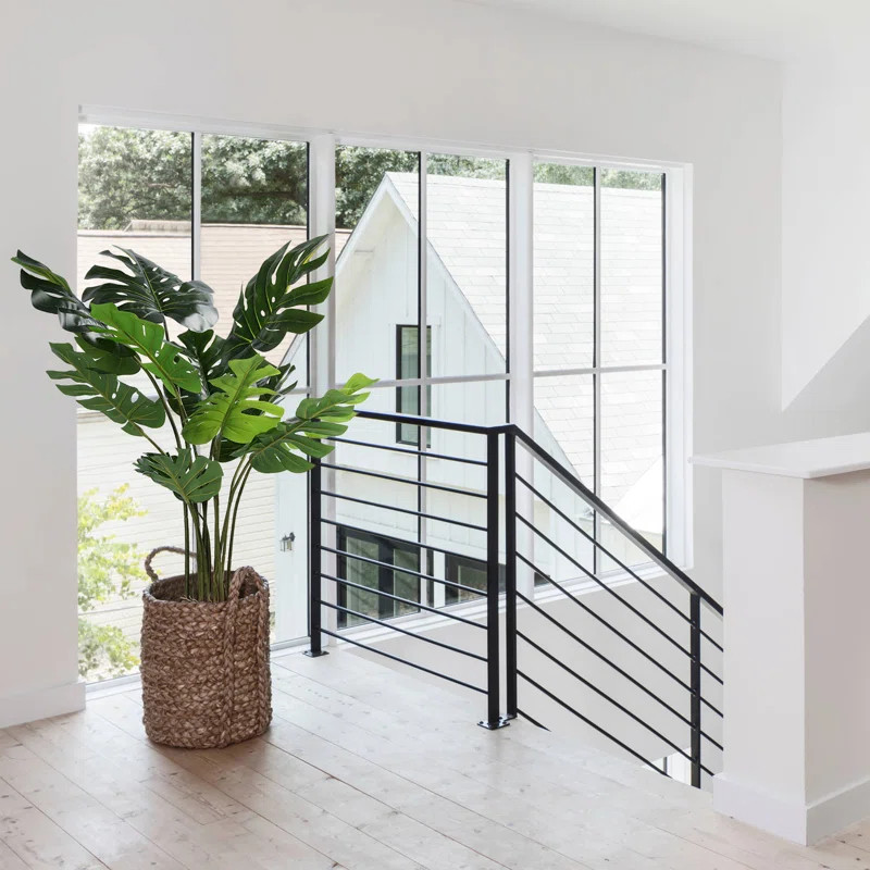 Flowers & Plants | Wayfair North America