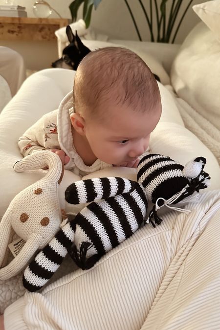 Mila’s little friends 🫶🏼 + her lounger. 

zebra is from the little market. Giraffe was a gift but it says “Estella” and I found it by searching Estella Giraffe rattle. 



#LTKbump #LTKbaby #LTKfamily