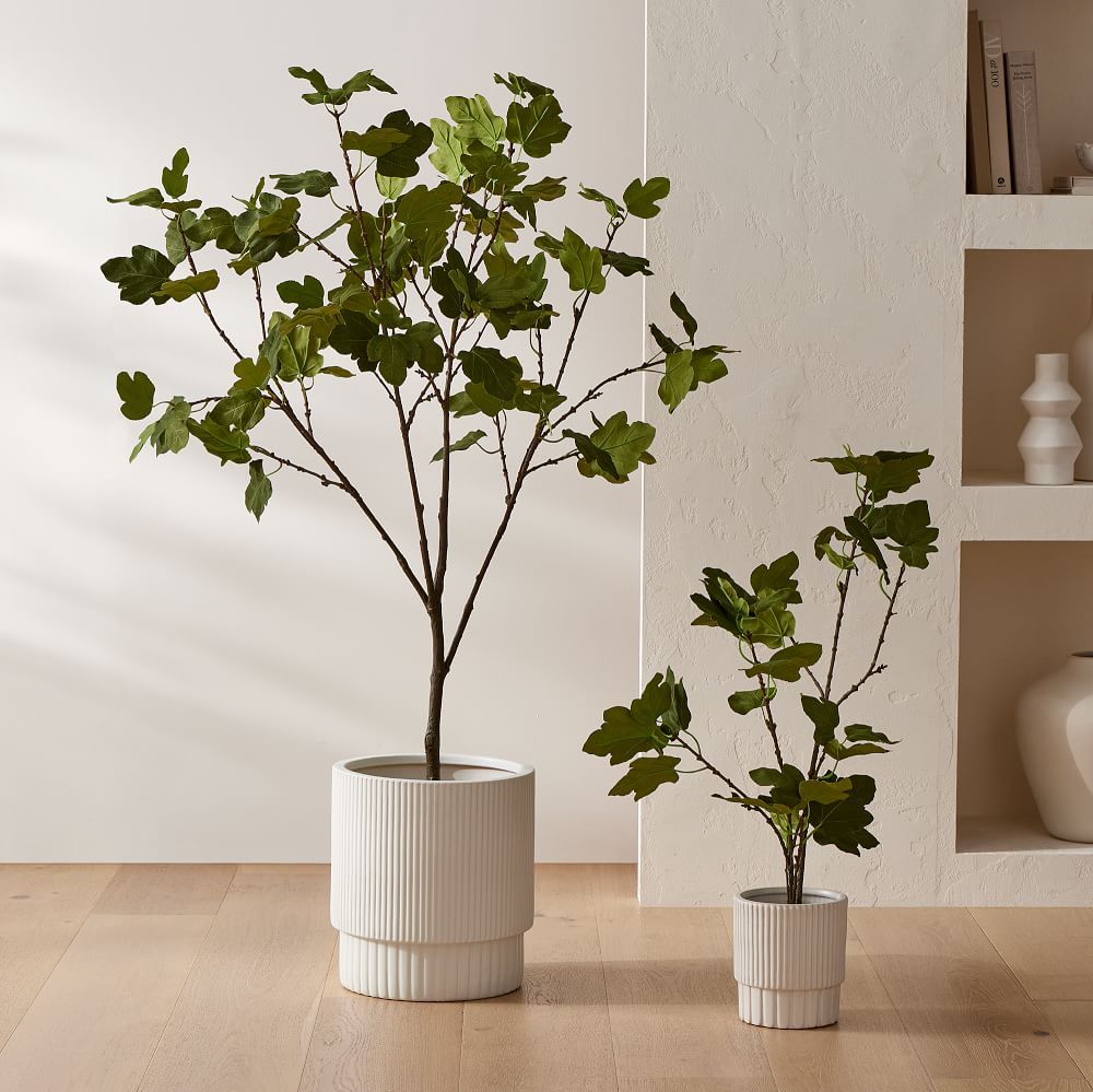 Faux Potted Brown Turkey Fig Tree | West Elm (US)