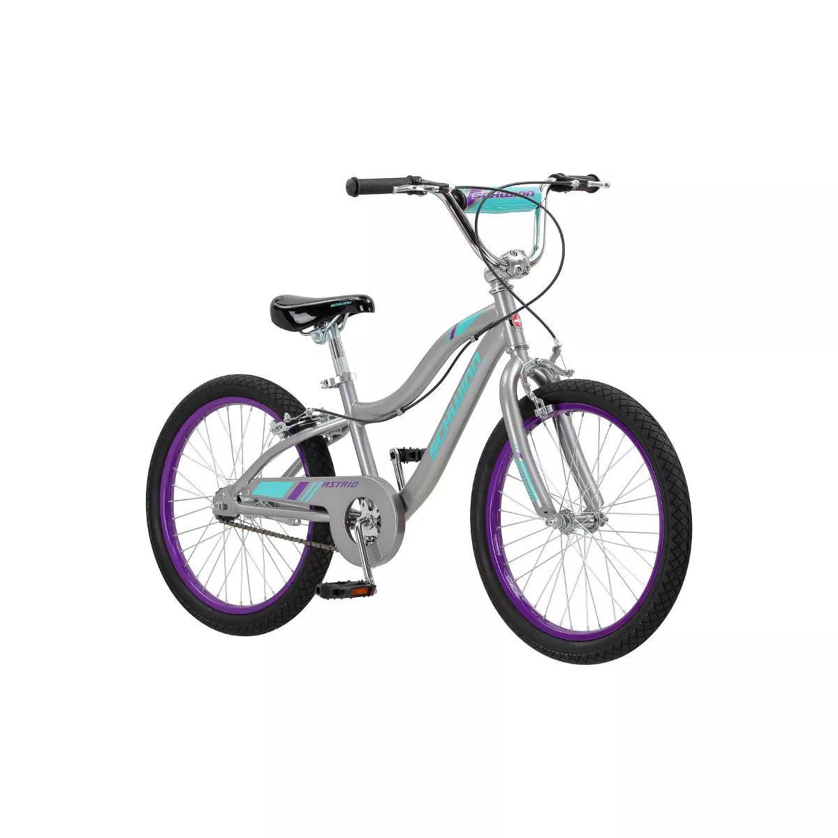 Schwinn Astrid 20" Kids' Bike - Gray | Target