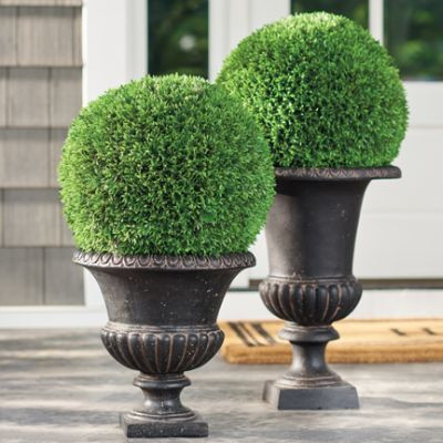 Lucas Pedestal Planters | Grandin Road | Grandin Road