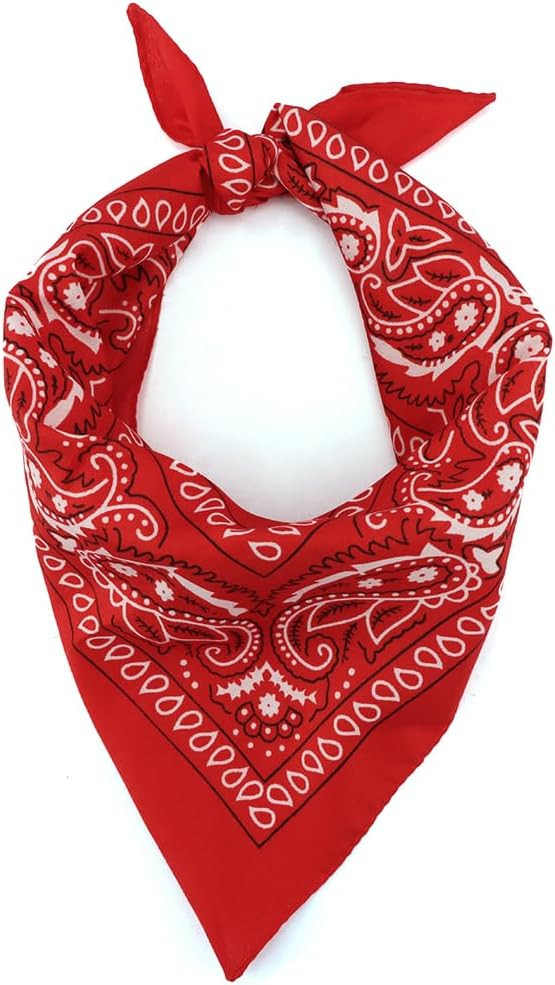 Bandana Paisley Bandanas Headbands Cowboy Handkerchiefs for Men and Women Multi-Purpose Head Wrap Neck Scarf | Amazon (US)