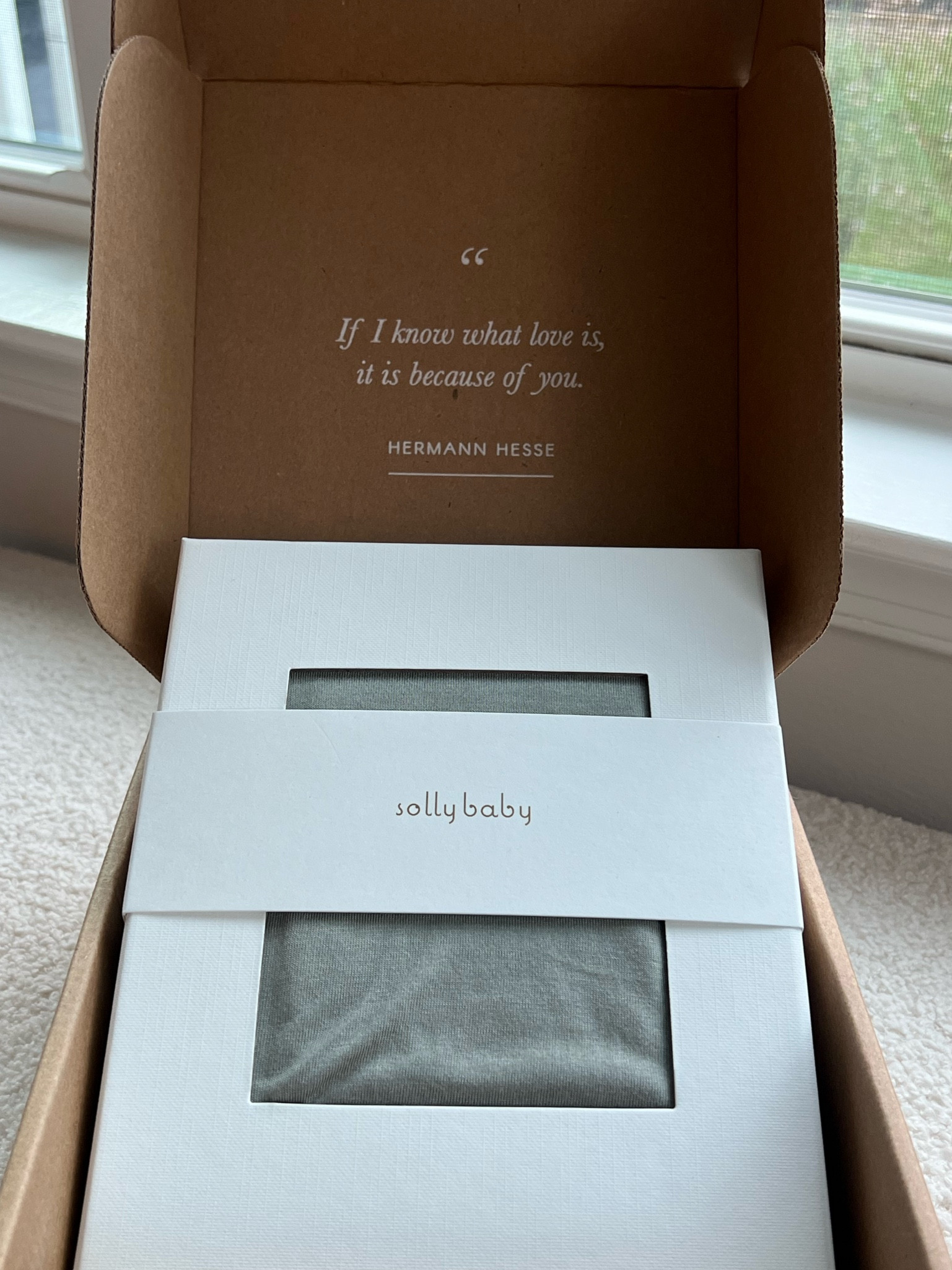 solly baby wrap in MIST 

#LTKBaby #LTKBump #LTKGiftGuide