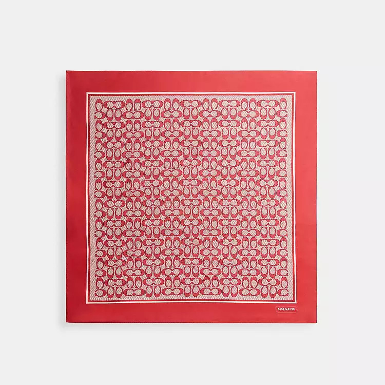 Signature Silk Scarf | Coach (US)