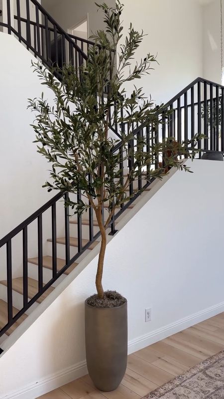 This Faux olive tree is beautiful! 

Home decor | faux olive tree | olive tree | home interior | Amazon home | Home Depot finds |