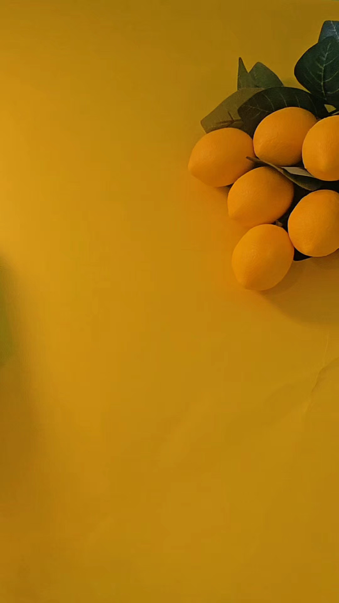 You're Gut's Bestie- Olipop 

#LTKHome #LTKHoliday #LTKParties