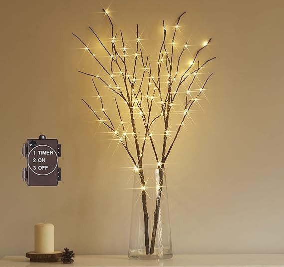 Amazon.com: Hairui Lighted Brown Branches Battery Operated with Timer 32IN 100 LED Fairy Lights, ... | Amazon (US)