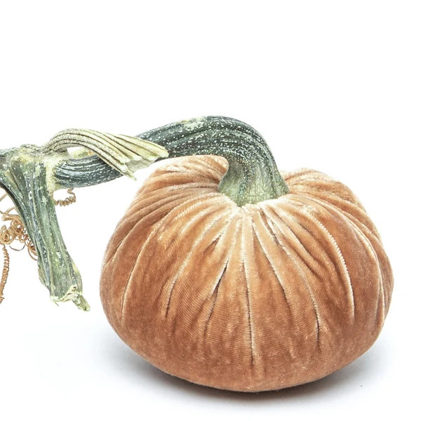 Latte Silk Velvet Pumpkin | Hot Skwash
