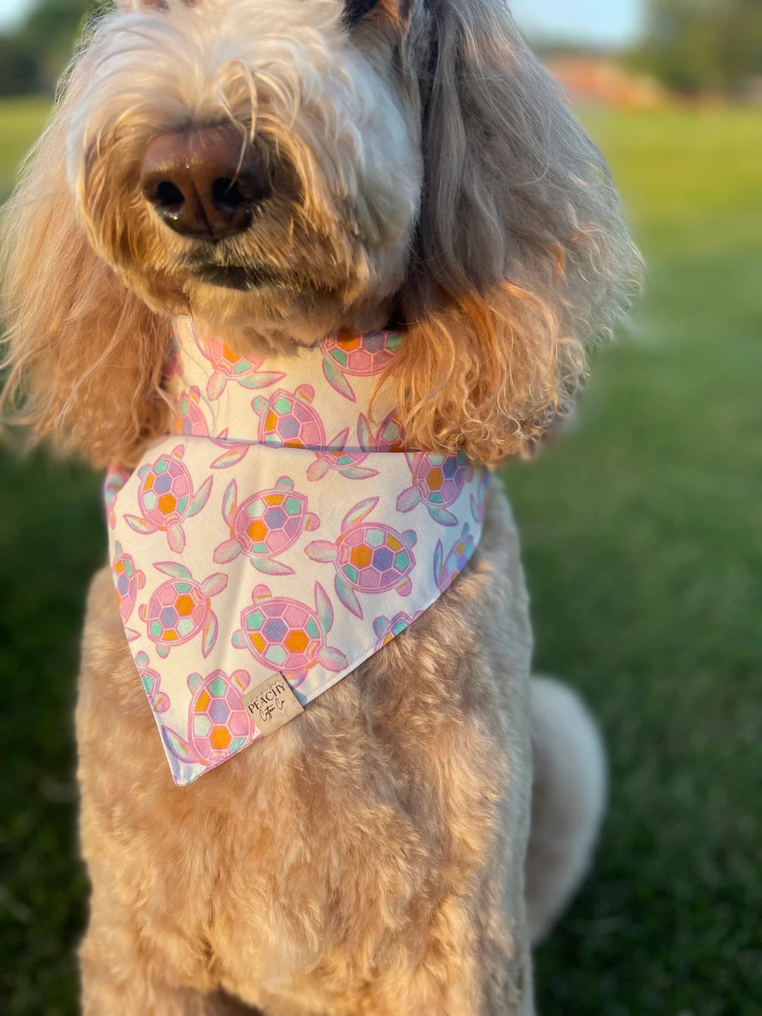 Sea Turtles Dog Bandana, Summer Dog Bandana, Dog Bandana Snaps, Dog Scarf, Summertime Bandana, Be... | Etsy (Global)