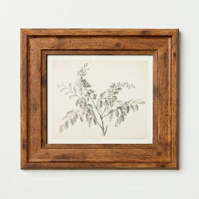 8"x9" Sketched Branches Wall Art Framed - Hearth & Hand™ with Magnolia | Target