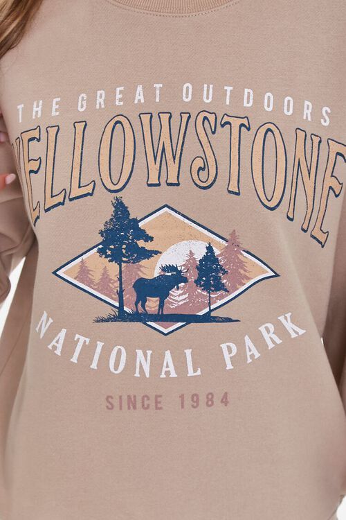 Yellowstone National Park Pullover | Forever 21 (US)