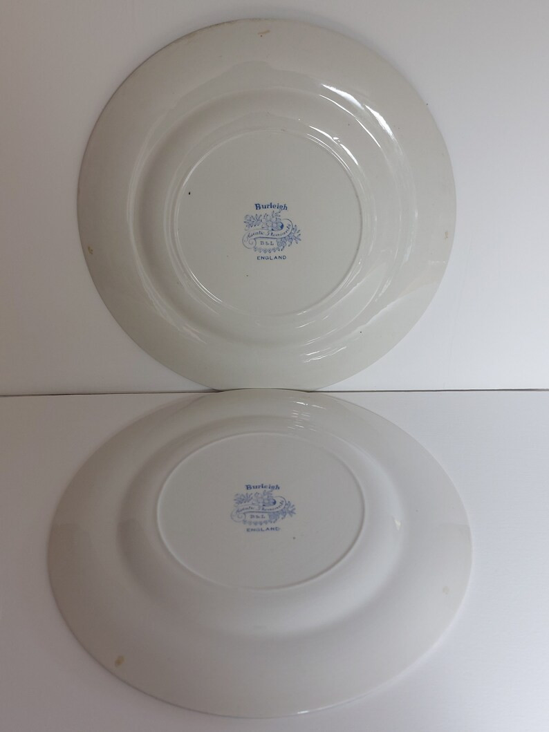 Burleigh Asiatic Pheasant B & L England Large 10 Dinner Plates Pair Perfect - Etsy | Etsy (US)