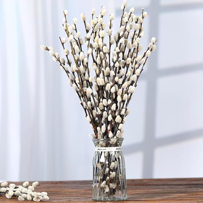 Natural Preserved Dried PussyWillow Branches for Vases, 30 Stems Real Willows, 17" Snow Pussywill... | Amazon (US)