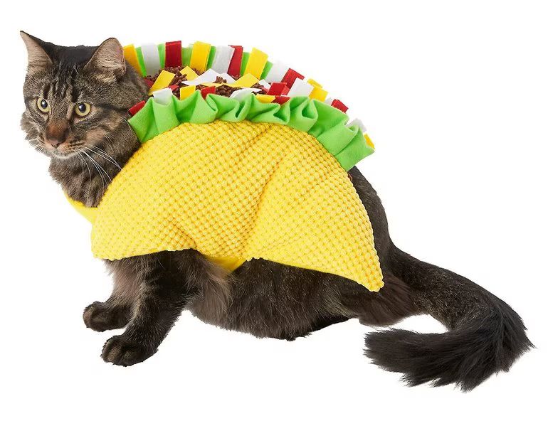 FRISCO Taco Dog & Cat Costume, Small - Chewy.com | Chewy.com