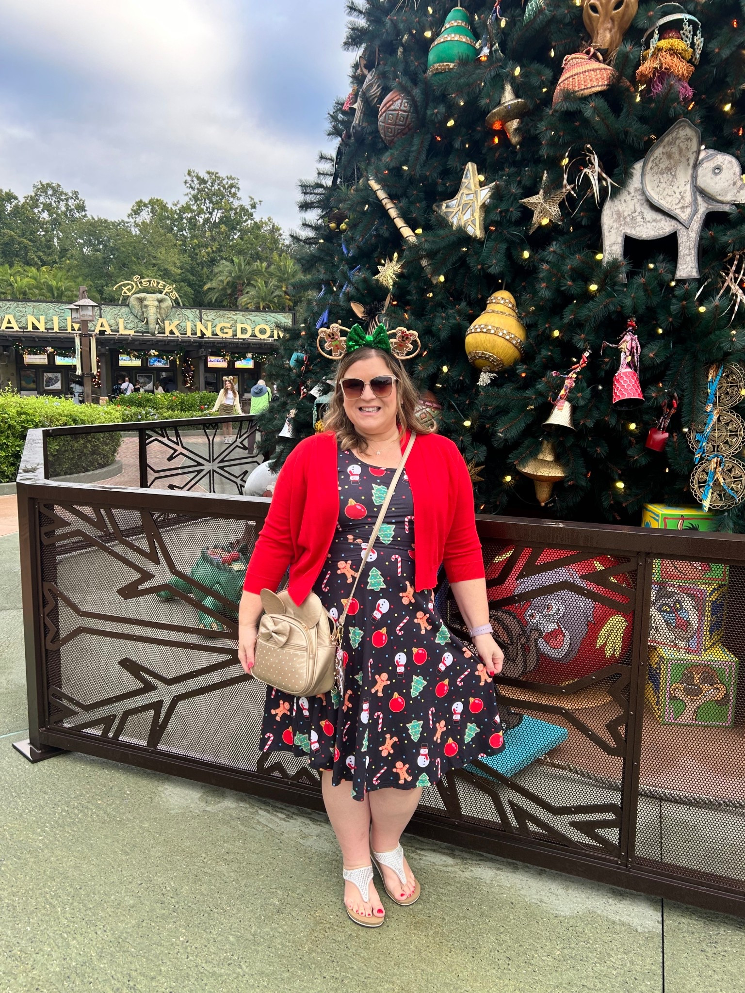 Love the holidays at Disney World! ✨

#LTKTravel #LTKFindsUnder50 #LTKHoliday