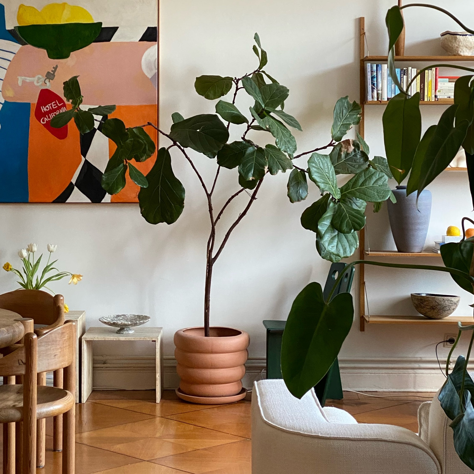 The prettiest planters for my 🪴 these are also suitable for outdoors. I love terracotta and green. 
#homedecor #plants #garden 

#LTKhome #LTKstyletip #LTKeurope