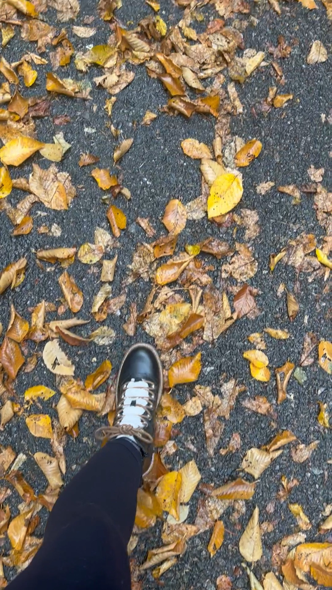The coziest & warmest fall boot 🥾 
Wearing my regular size 7.5 
Has memory foam and perfect for walking/hiking long distances !

#LTKshoecrush #LTKSeasonal #LTKHoliday