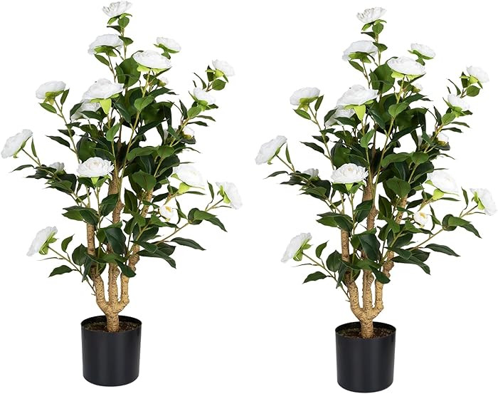 Romantic Season 2Pack Artificial Camellia Tree 3FT, White Faux Camellia Plant Fake Potted Camelli... | Amazon (US)