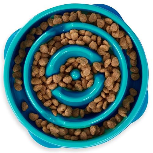 Outward Hound Fun Feeder Slo Bowl – Medium 2‑Cup Capacity, Slow Feeding, Small to Medium Dogs & Cats, Non-Slip, Turquoise, Drop Pattern | Amazon (US)