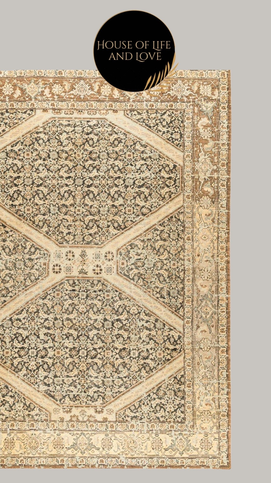 Area rug

#LTKBeauty #LTKHome #LTKdayinmylife