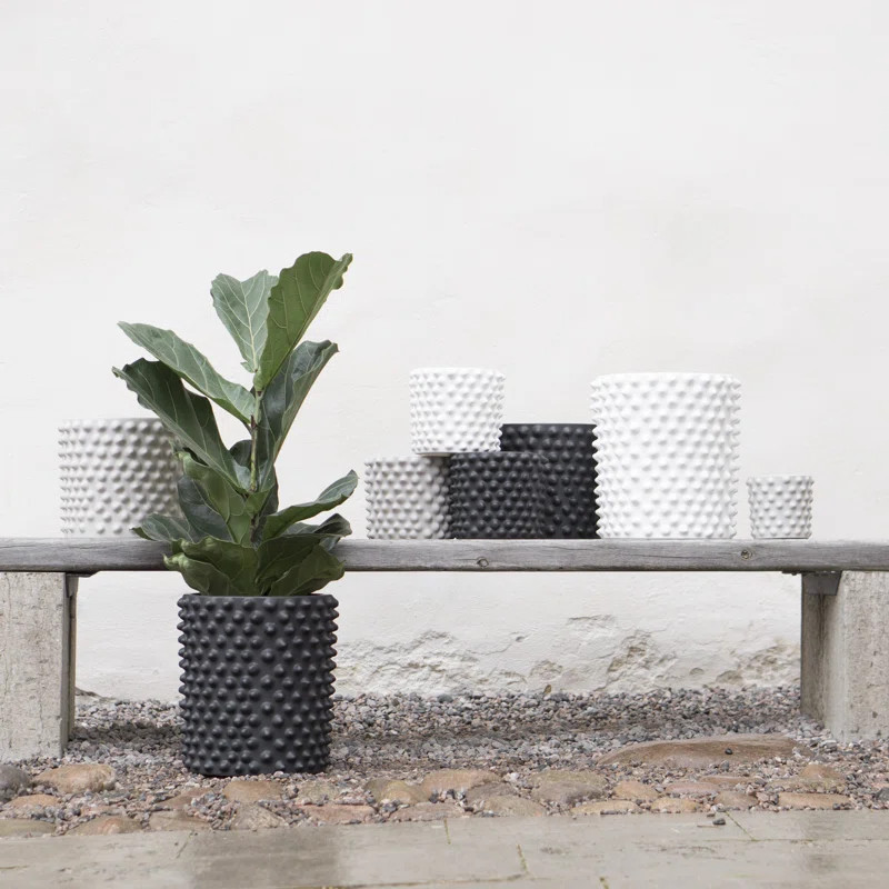 Cloudy Ceramic Indoor Pot Planter | Wayfair North America