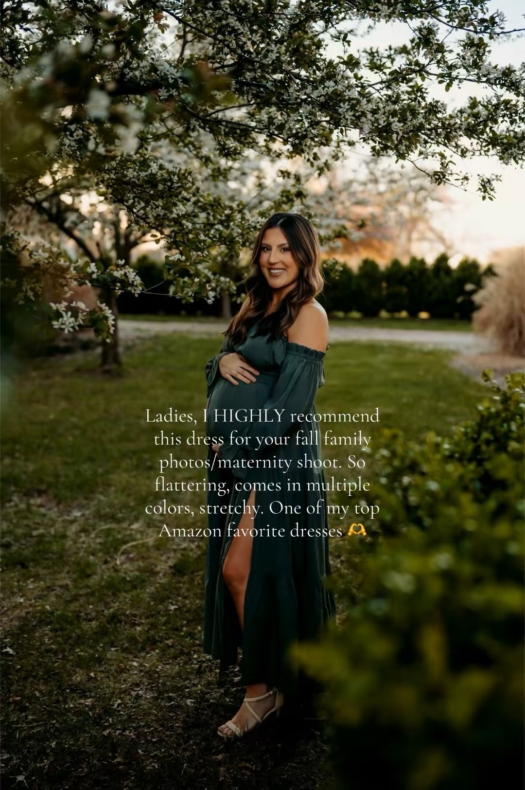 Fall dress from Amazon! Perfect for family photos or a maternity photo shoot!