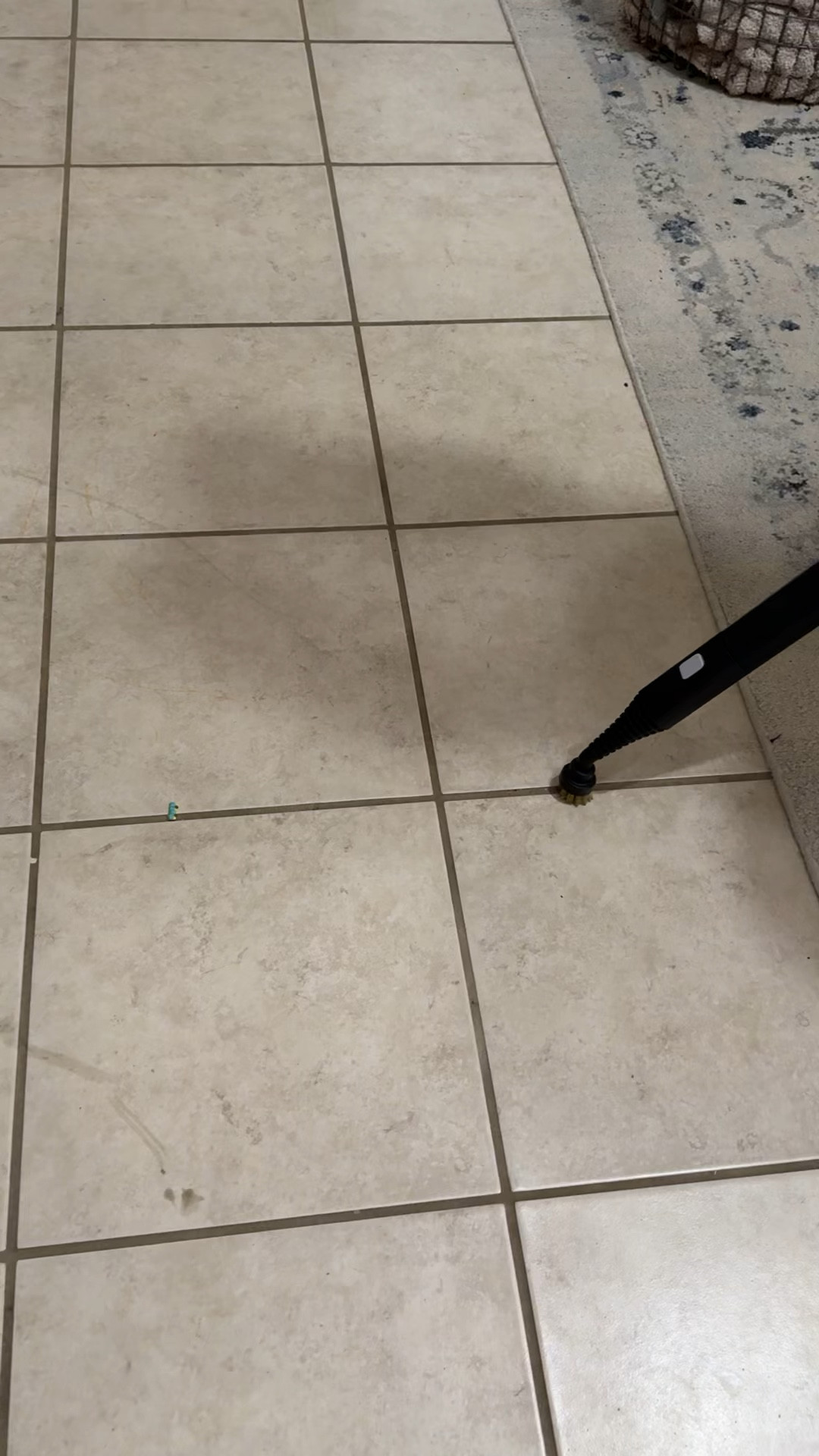 Amazon Steam cleaner 