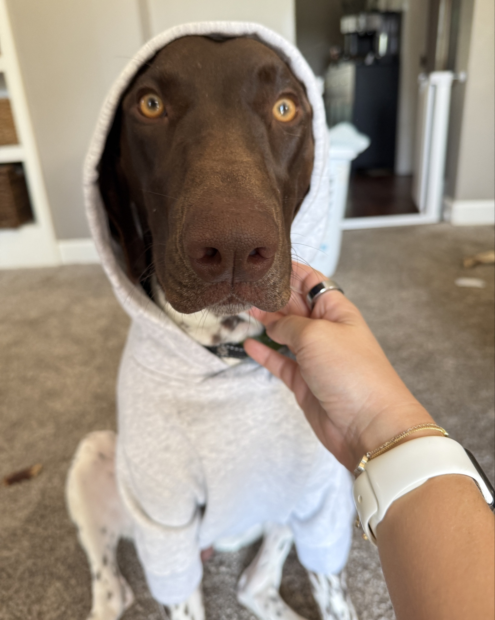 #LTKSaleAlert #LTKSeasonal #LTKKids