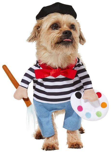 FRISCO Front Walking French Artist Dog & Cat Costume, Medium - Chewy.com | Chewy.com
