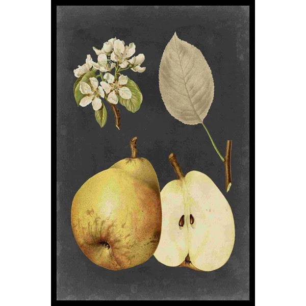 " Midnight Harvest IV " by Vision Studio Painting Print | Wayfair North America