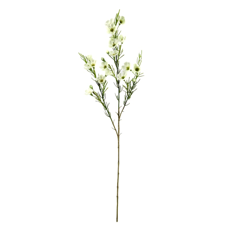 White Waxflower Floral Spray, 30" | At Home