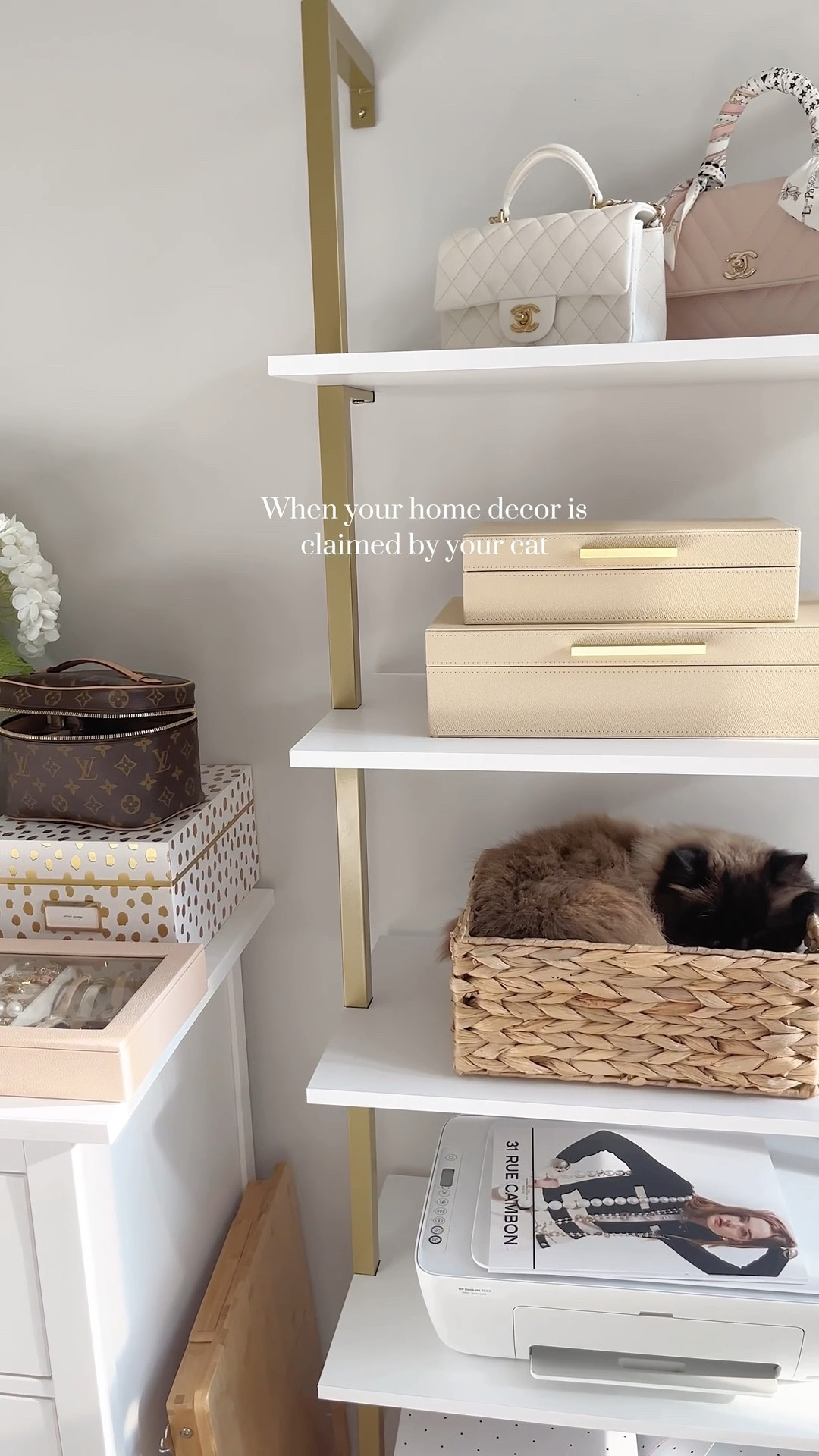 Amazon must haves | Amazon finds | viral Amazon find | Amazon home decor | affordable home decor | look for less | gift ideas | gifts for her 

Affordable home decor | elevated home decor | elegant home decor | neutral home decor | white home decor | aesthetic home | home finds under $50 | Amazon home finds | amazon luxury finds | amazon aesthetic home  | apartment decor | affordable apartment finds | apartment finds | cat finds 

#LTKHome #LTKdayinmylife