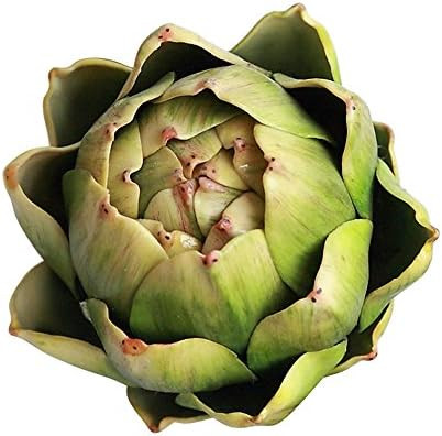 Li Hua Cat Artificial Artichoke Vegetables Wedding Party Home Decor Set of 6 (Large, Green) | Amazon (US)