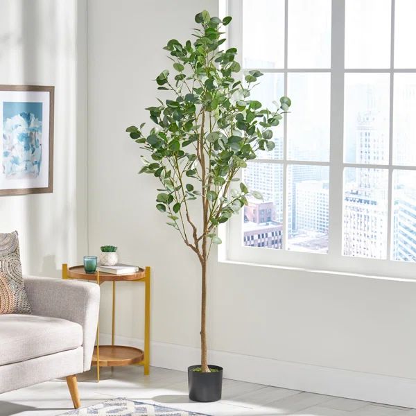 Aanya Faux Eucalyptus Tree in Pot | Wayfair North America