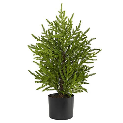 Nearly Natural 2ft. Norfolk Island Pine Natural Look Artificial Tree in Decorative Planter | Amazon (US)