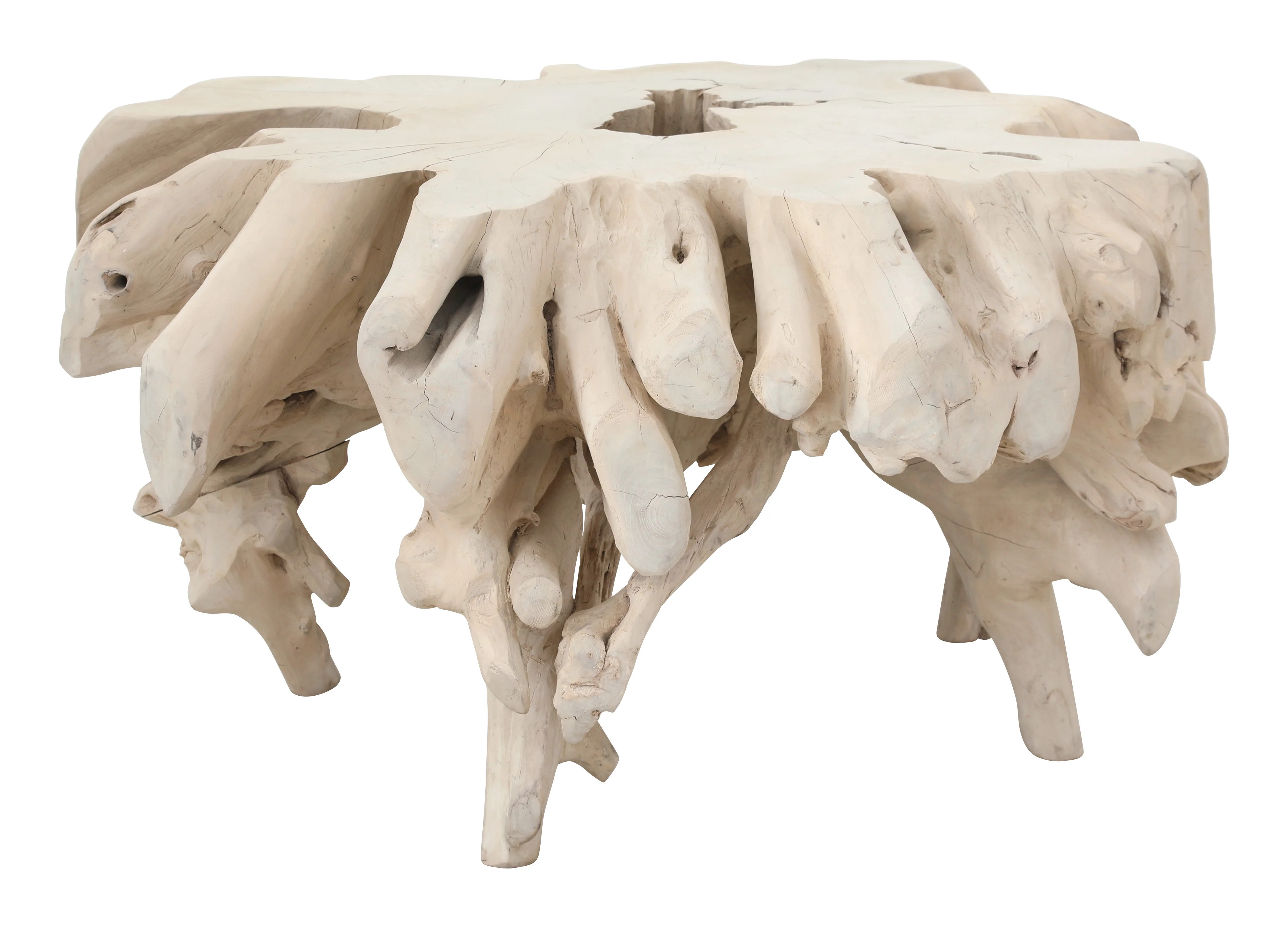 Small Bleached Teak Root Coffee Table | Jayson Home