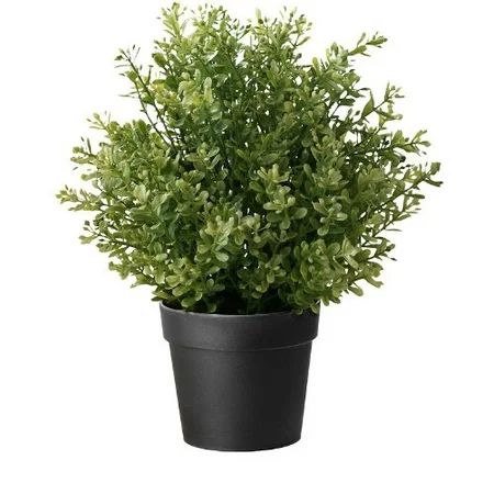 Ikea Artificial Potted Plant, Thyme, 9.5 Inch | Walmart (US)