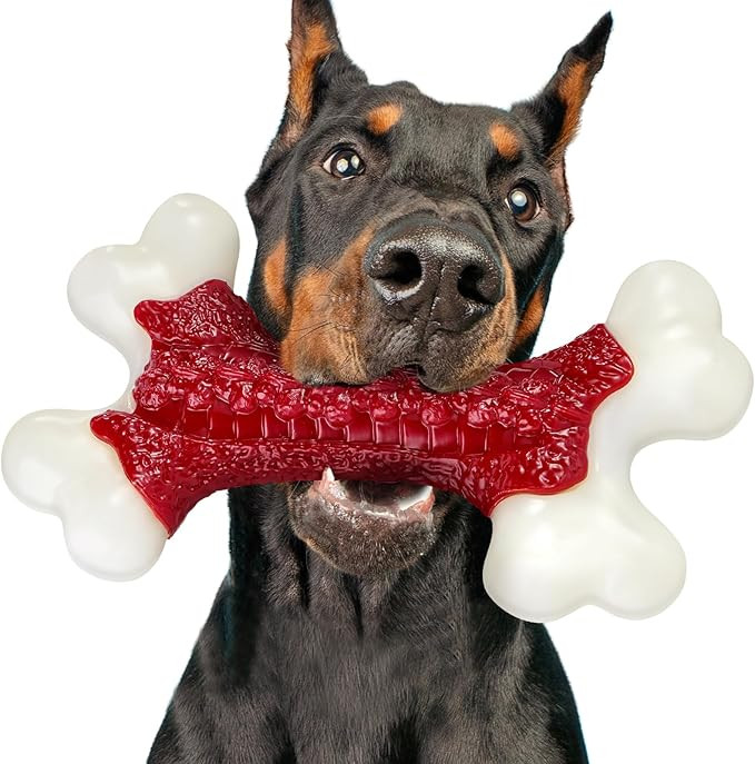 Tough Dog Toys, Toys for Aggressive Chewers Large Breed, Chew Dogs, Bone Toy Nylon Dogs Almost In... | Amazon (US)